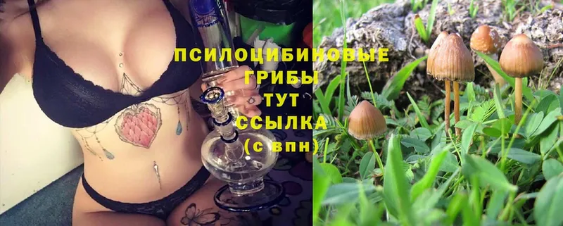 Галлюциногенные грибы MAGIC MUSHROOMS  Мензелинск 